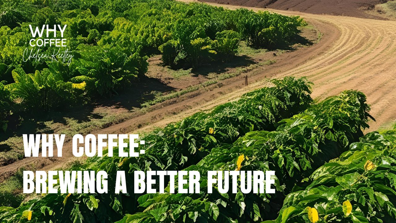 WHY Coffee: Brewing a Better Future