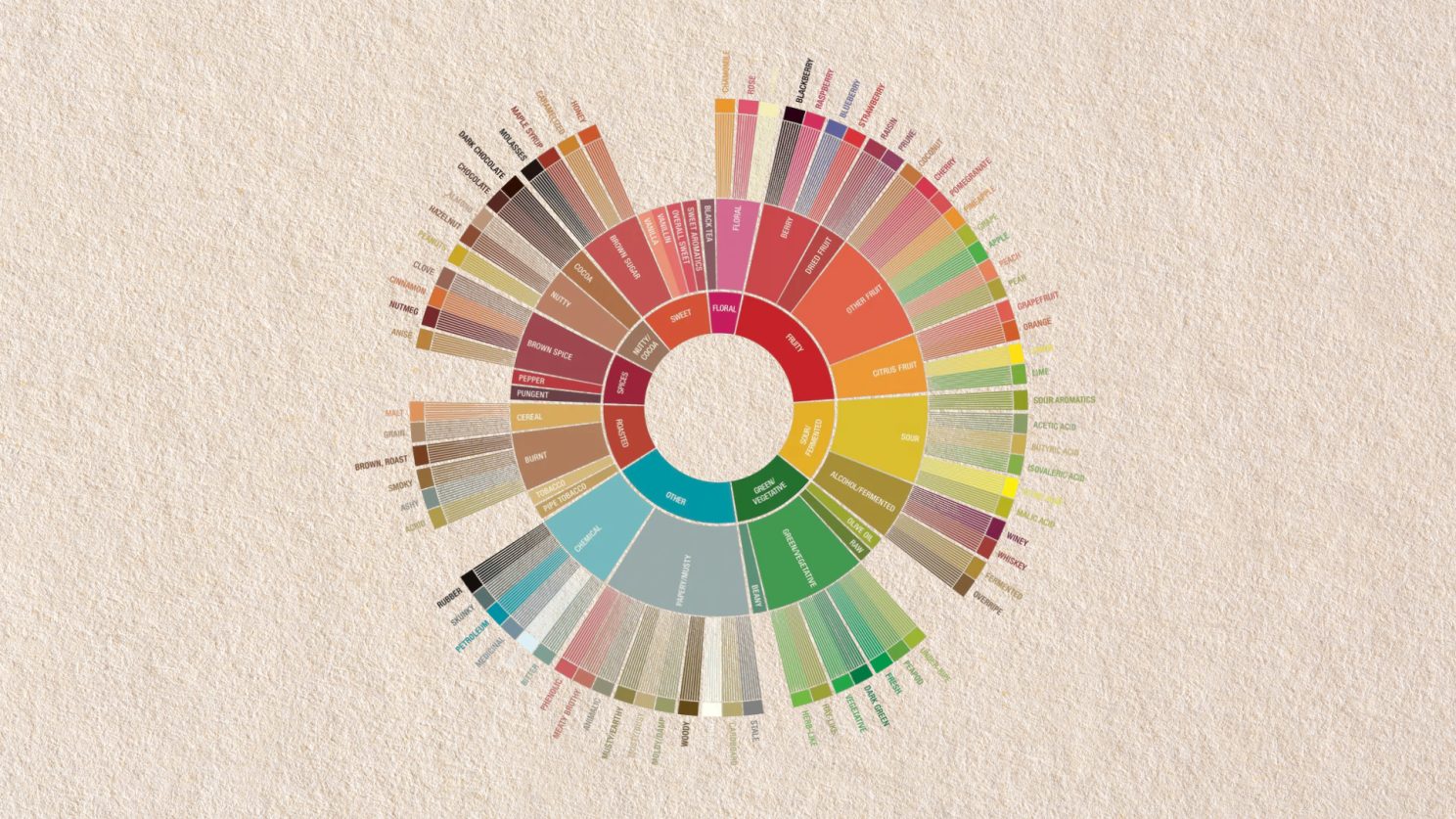 The Coffee Taster's Flavour Wheel, mapping tasting notes from fruity and floral through to roasted and spicy